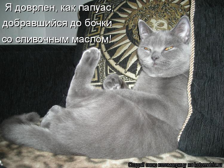 Котоматрица: Я доврлен, как папуас, добравшийся до бочки со сливочным маслом!