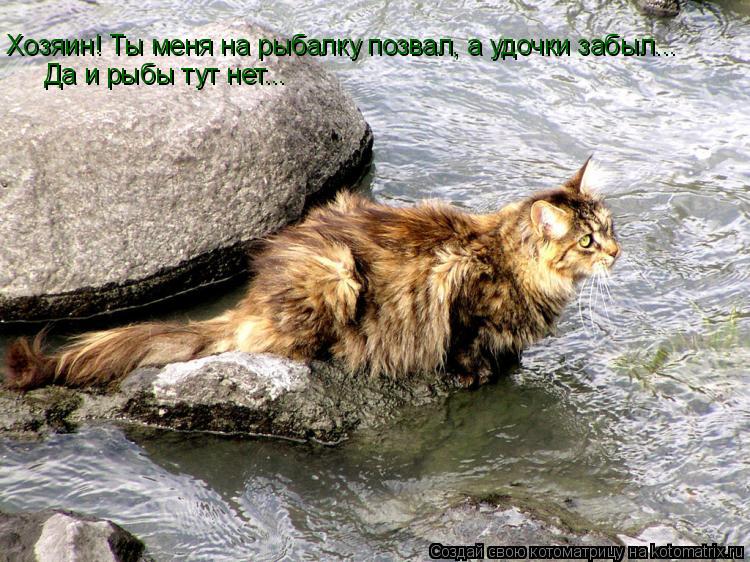 Хозяин! Ты меня на рыбалку позвал, а удочки забыл... Да и рыбы тут нет...... Котоматрица: Хозяин! Ты меня на рыбалку позвал, а удочки забыл... Да и рыбы тут нет...