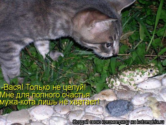 -Вася! Только не целуй! Мне для полного счастья мужа-кота лишь не хватает!... Котоматрица: -Вася! Только не целуй! Мне для полного счастья мужа-кота лишь не хватает!