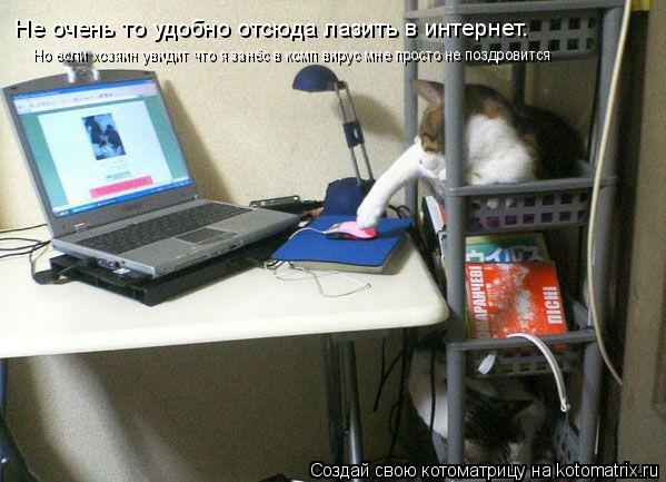Котоматрица: Не очень то удобно отсюда лазить в интернет. Но если хозяин увидит что я занёс в комп вирус мне просто не поздровится