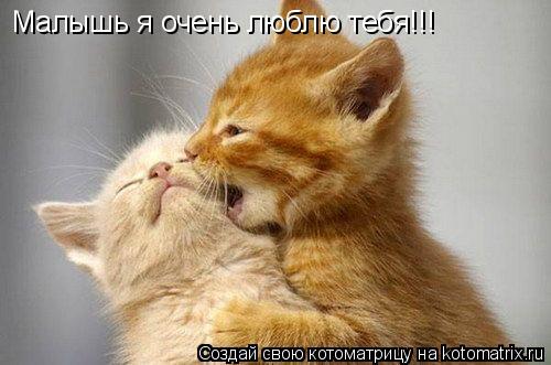 Котоматрица: Малышь я очень люблю тебя!!!