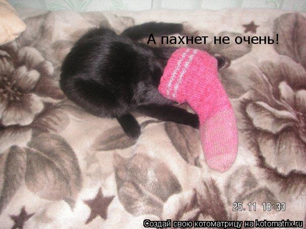 А пахнет не очень!... Котоматрица: А пахнет не очень!