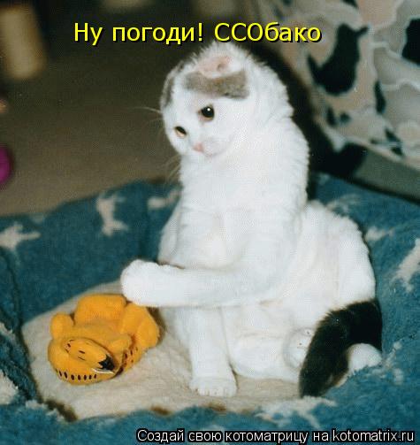 Ну погоди! ССОбако... Котоматрица: Ну погоди! ССОбако