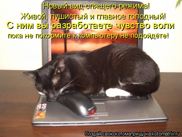 Котоматрица: Новый вид спящего режима! Живой, пушистый и главное голодный! С ним вы разработаете чувство воли пока не покормите к компьютеру не подойдёт