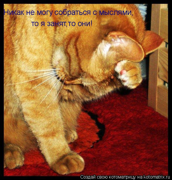 Никак не могу собраться с мыслями, то я занят,то они!... Котоматрица: Никак не могу собраться с мыслями, то я занят,то они!