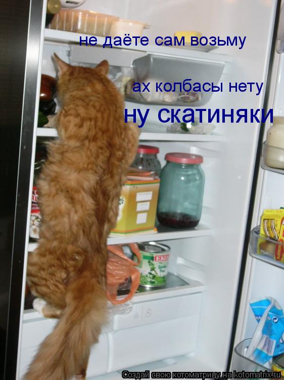 Котоматрица: не даёте сам возьму ах колбасы нету  ну скатиняки