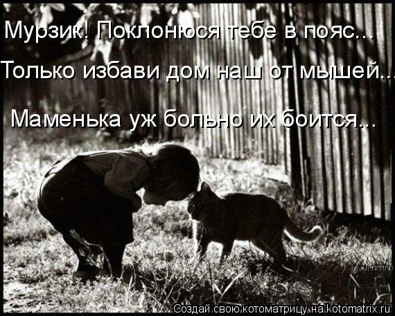 Мурзик! Поклонюся тебе в пояс... Только избави дом наш от мышей... Маменька уж больно их боится...... Котоматрица: Мурзик! Поклонюся тебе в пояс... Только избави дом наш от мышей... Маменька уж больно их боится...
