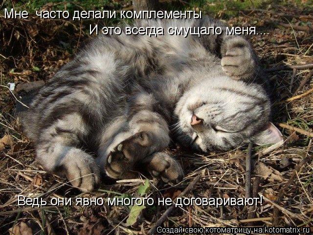 Котоматрица: Мне  часто делали комплементы  И это всегда смущало меня.... Ведь они явно многого не договаривают!