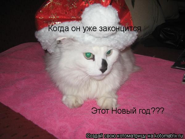 Когда он уже законцится Этот Новый год???... Котоматрица: Когда он уже законцится Этот Новый год???