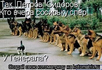 Котоматрица: Так, Петров, Сидоров.. Кто вчера сосиську спёр У Генерала?