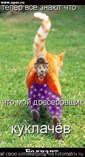 Котоматрица: тепер все знают что что мой дресеровщик куклачёв