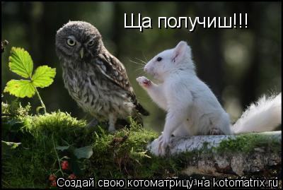 Ща получиш!!!... Котоматрица: Ща получиш!!!