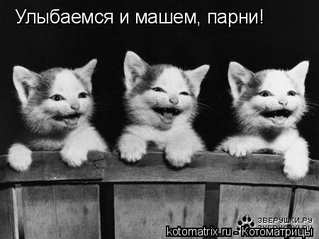Котоматрица: Улыбаемся и машем, парни!
