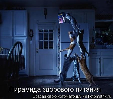 Котоматрица: Пирамида здорового питания