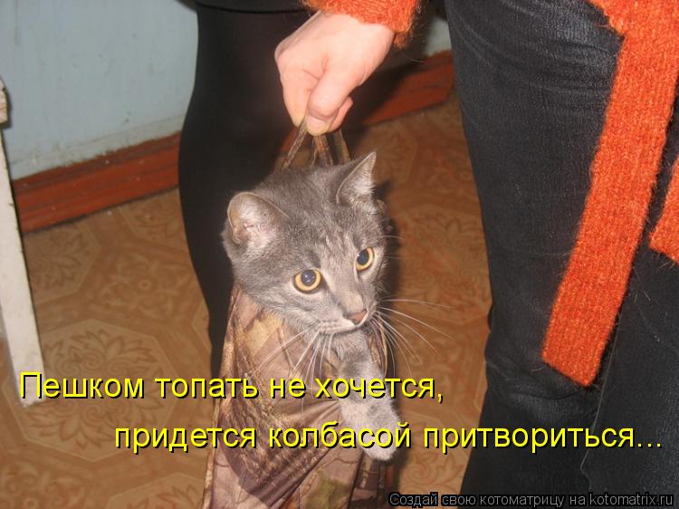 Пешком топать не хочется, придется колбасой притвориться...... Котоматрица: Пешком топать не хочется, придется колбасой притвориться...