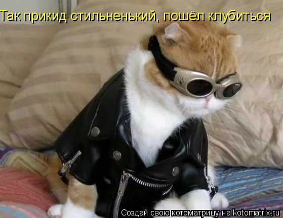 Котоматрица: Так прикид стильненький, пошёл клубиться