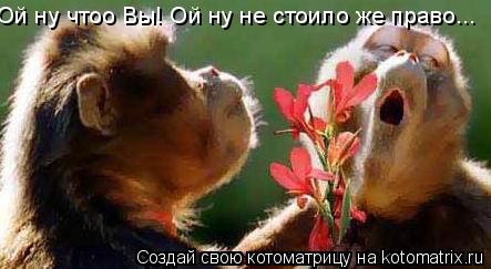 Котоматрица: Ой ну чтоо Вы! Ой ну не стоило же право...