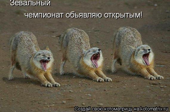 Котоматрица: чемпионат обьявляю открытым! Зевальный