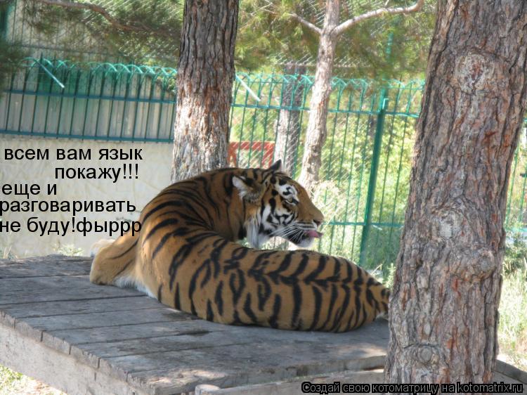 Котоматрица: всем вам язык  покажу!!! еще и разговаривать не буду!фыррр