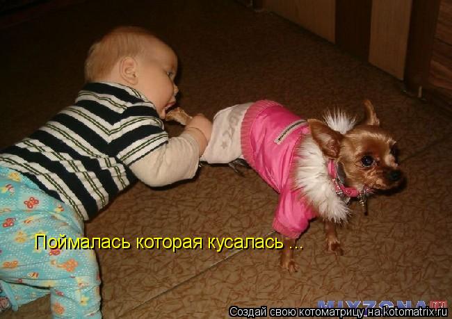 Котоматрица: Поймалась которая кусалась ...