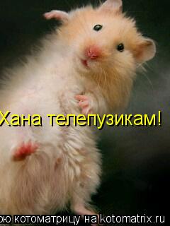 Котоматрица: Хана телепузикам!