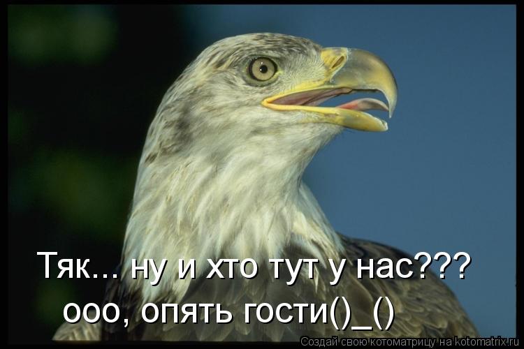 Котоматрица: Тяк... ну и хто тут у нас??? ооо, опять гости()_()