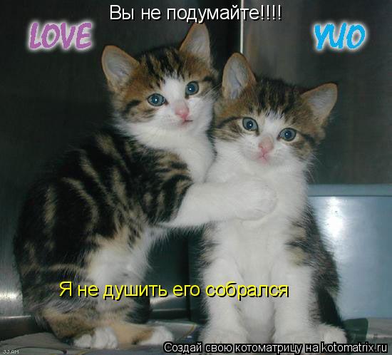 Вы не подумайте!!!! Я не душить его собрался... Котоматрица: Вы не подумайте!!!! Я не душить его собрался