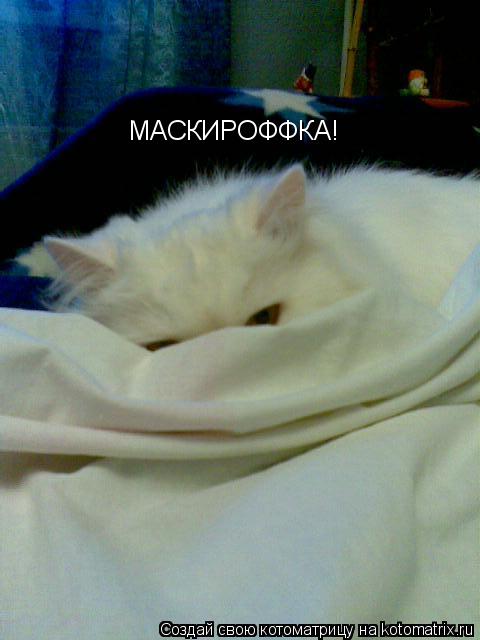 Котоматрица: МАСКИРОФФКА!
