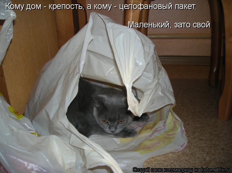 Кому дом - крепость, а кому - целофановый пакет . Маленький, зато свой... Котоматрица: Кому дом - крепость, а кому - целофановый пакет . Маленький, зато свой