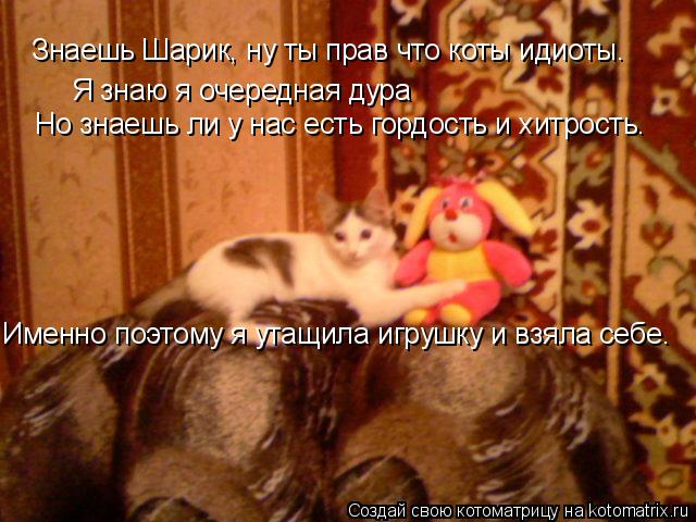 Котоматрица: Знаешь Шарик, ну ты прав что коты идиоты. Я знаю я очередная дура Но знаешь ли у нас есть гордость и хитрость. Именно поэтому я утащила игрушк