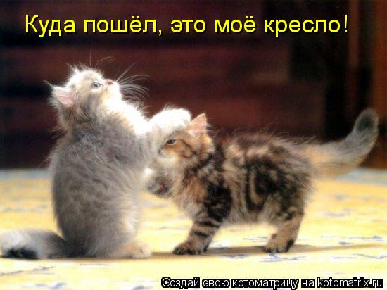 Котоматрица: Куда пошёл, это моё кресло!