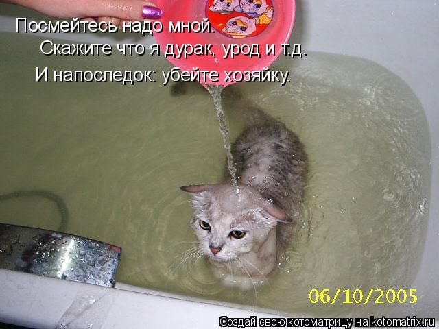 Посмейтесь надо мной. Скажите что я дурак, урод и т.д. И напоследок: убейте хозяйку.... Котоматрица: Посмейтесь надо мной. Скажите что я дурак, урод и т.д. И напоследок: убейте хозяйку.