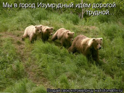 Котоматрица: Мы в город Изумрудный идём дорогой трудной...