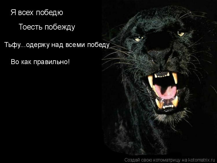 Я всех победю Тоесть побежду Тьфу...одержу над всеми победу Во как правильно!... Котоматрица: Я всех победю Тоесть побежду Тьфу...одержу над всеми победу Во как правильно!