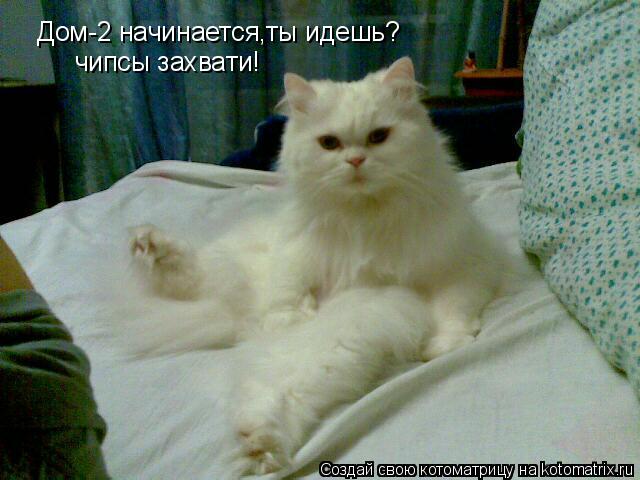 Дом-2 начинается,ты идешь? чипсы захвати!... Котоматрица: Дом-2 начинается,ты идешь? чипсы захвати!