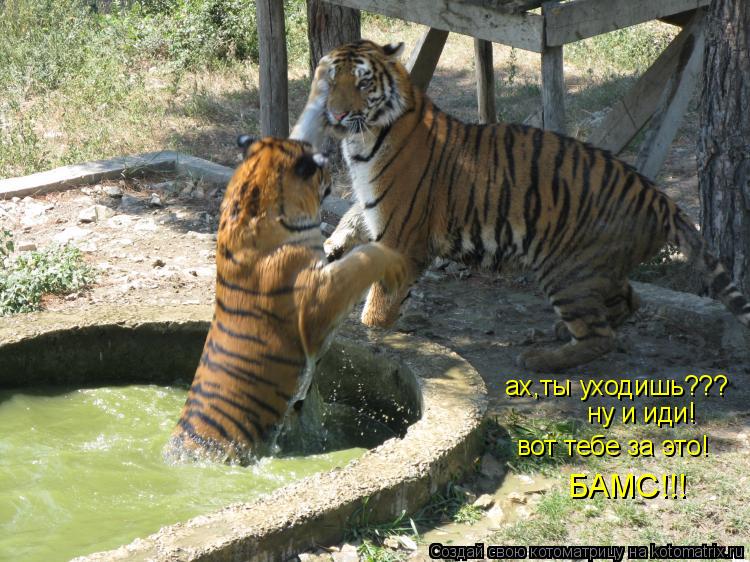 Котоматрица: ах,ты уходишь??? ну и иди! вот тебе за это! БАМС!!!