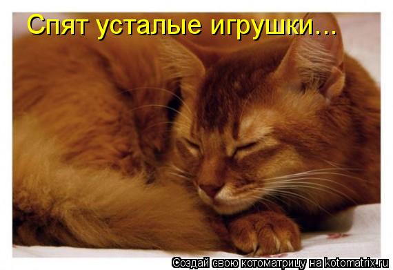 Спят усталые игрушки...... Котоматрица: Спят усталые игрушки...