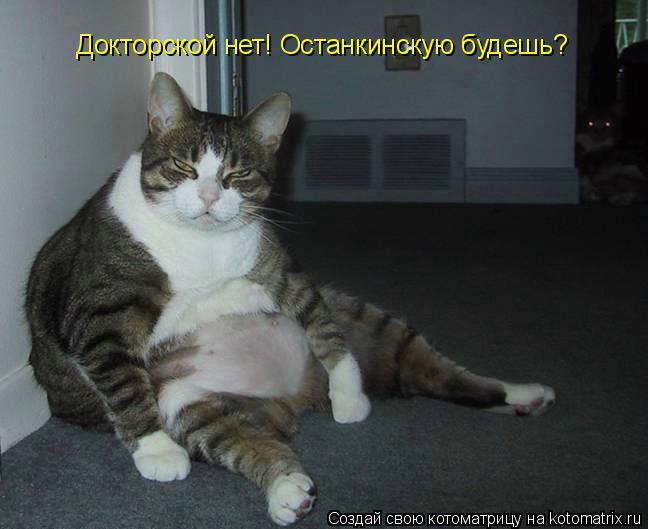 Докторской нет! Останкинскую будешь?... Котоматрица: Докторской нет! Останкинскую будешь?