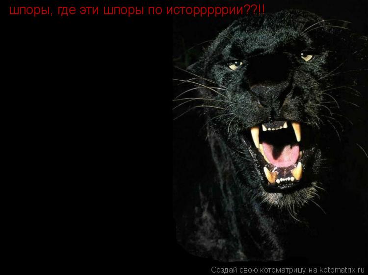 шпоры, где эти шпоры по исторррррии??!!... Котоматрица: шпоры, где эти шпоры по исторррррии??!!