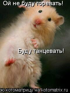 Ой не буду горевать! Буду танцевать!... Котоматрица: Ой не буду горевать! Буду танцевать!