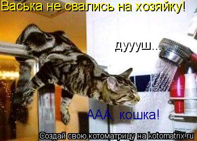 дуууш... Васька не свались на хозяйку! ААА, кошка!... Котоматрица: дуууш... Васька не свались на хозяйку! ААА, кошка!