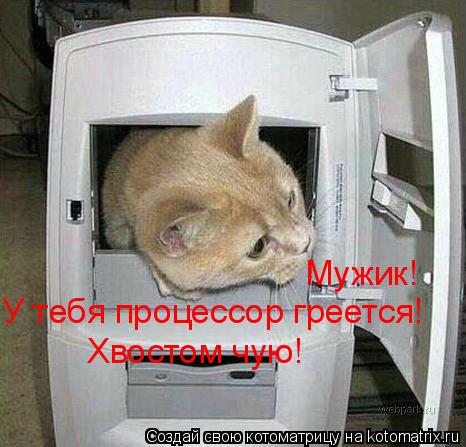 Котоматрица: Мужик! У тебя процессор греется! Мужик! У тебя процессор греется! Хвостом чую!
