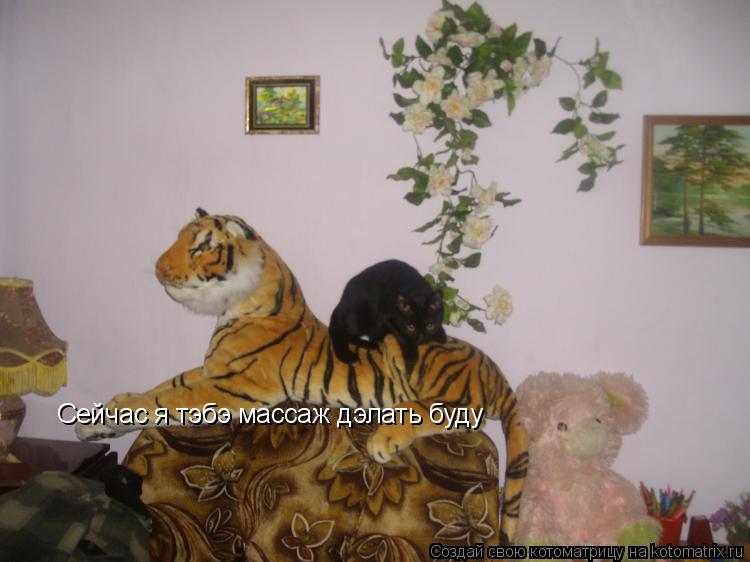 Сейчас я тэбэ массаж дэлать буду... Котоматрица: Сейчас я тэбэ массаж дэлать буду