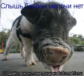 Котоматрица: Слышь баклан мелочи нет?А пять рублей?