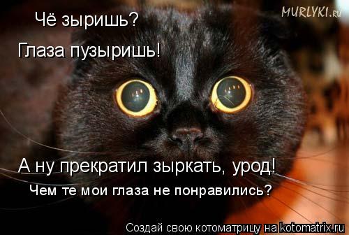 Котоматрица: Чё зыришь? Глаза пузыришь! А ну прекратил зыркать, урод! Чем те мои глаза не понравились?