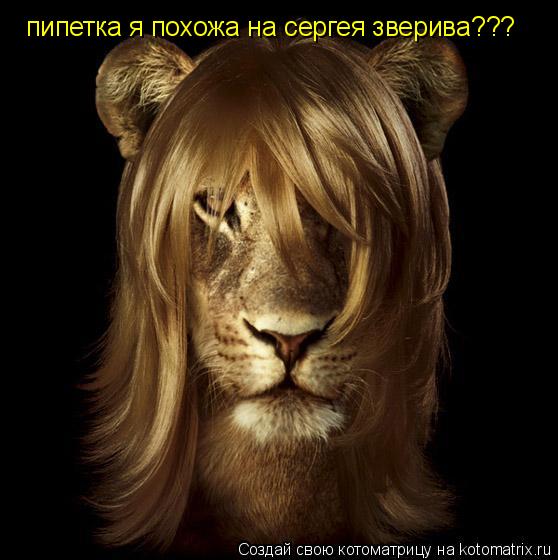 Котоматрица: пипетка я похожа на сергея зверива???