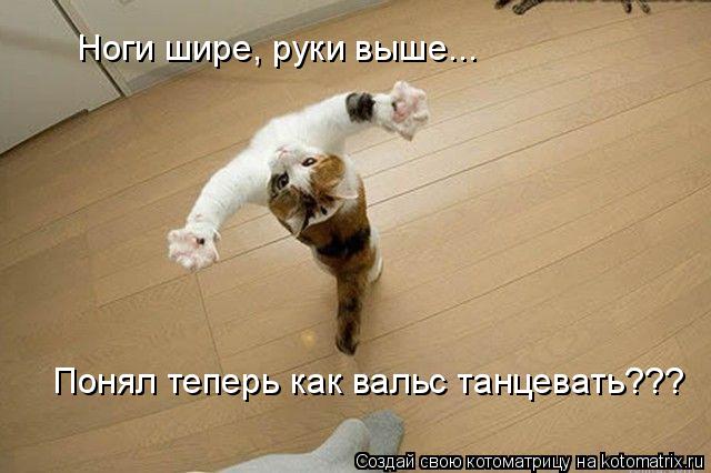 Ноги шире, руки выше... Понял теперь как вальс танцевать???... Котоматрица: Ноги шире, руки выше... Понял теперь как вальс танцевать???