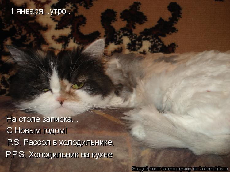 1 января...утро.. На столе записка... С Новым годом! P.S. Рассол в холодильнике. P.P.S. Холодильник н... Котоматрица: 1 января...утро.. На столе записка... С Новым годом! P.S. Рассол в холодильнике. P.P.S. Холодильник на кухне.