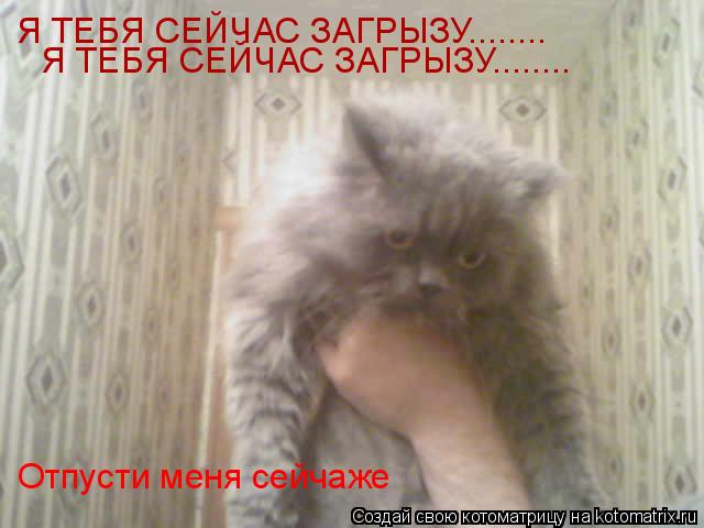 Отпусти меня сейчаже Я ТЕБЯ СЕЙЧАС ЗАГРЫЗУ........ Я ТЕБЯ СЕЙЧАС ЗАГРЫЗУ........... Котоматрица: Отпусти меня сейчаже Я ТЕБЯ СЕЙЧАС ЗАГРЫЗУ........ Я ТЕБЯ СЕЙЧАС ЗАГРЫЗУ........