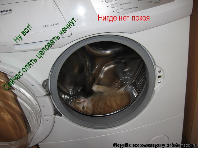 Котоматрица: Ну вот! Сейчас опять целовать начнут. Нигде нет покоя